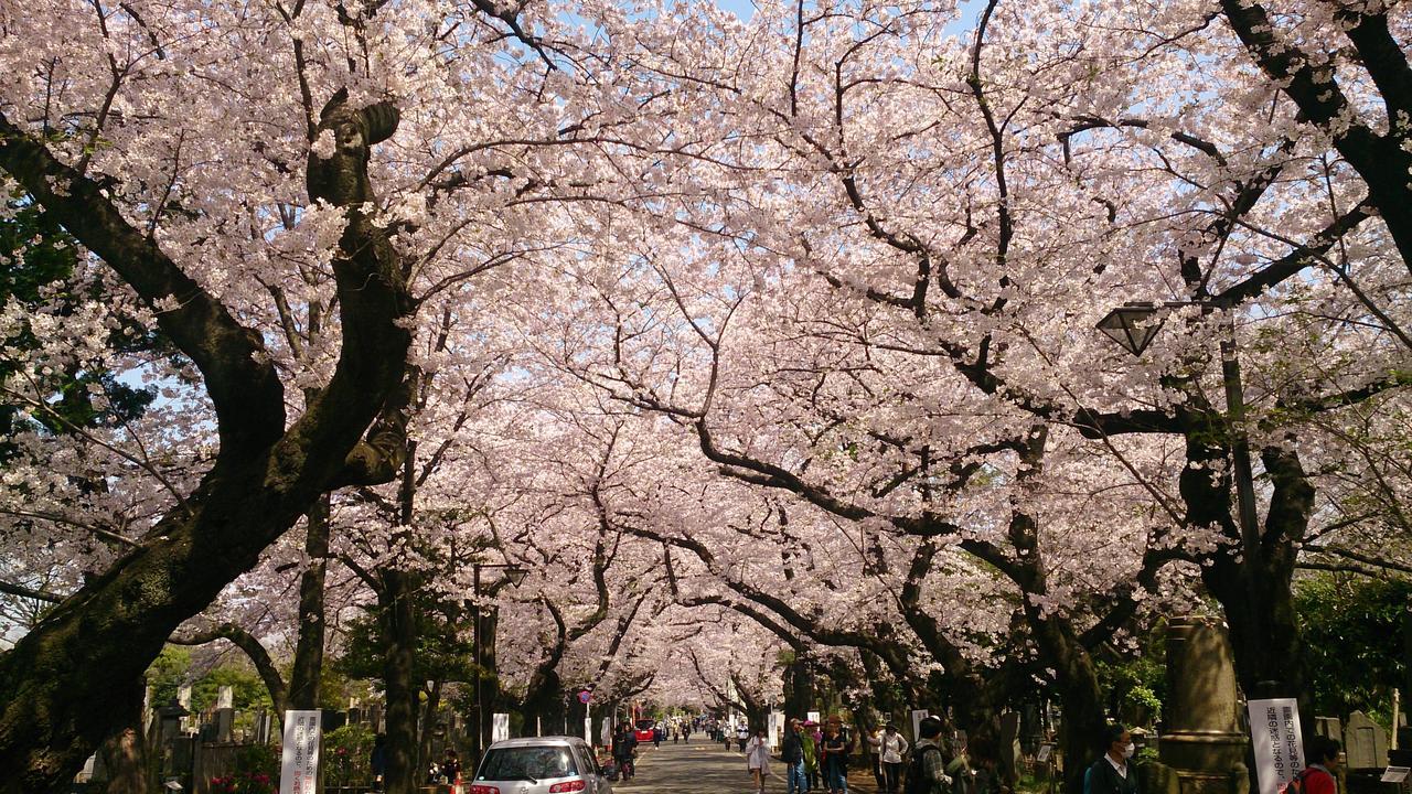 Namio Apartment 201 Tokyo Dış mekan fotoğraf